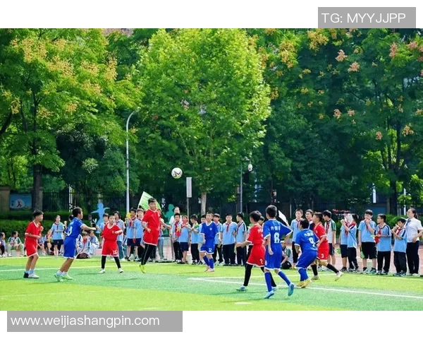 推动校园足球计划助力青少年全面发展与健康成长的探索与实践