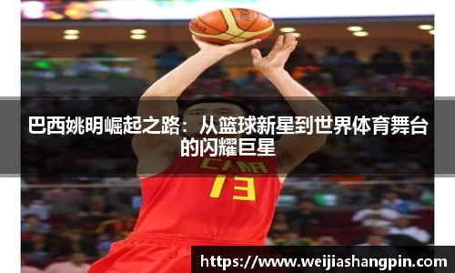 mksports体育