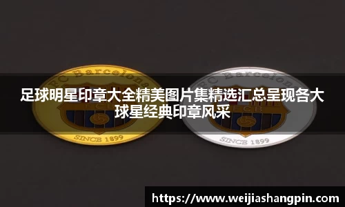 mksports体育