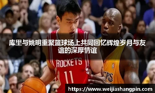mksports体育