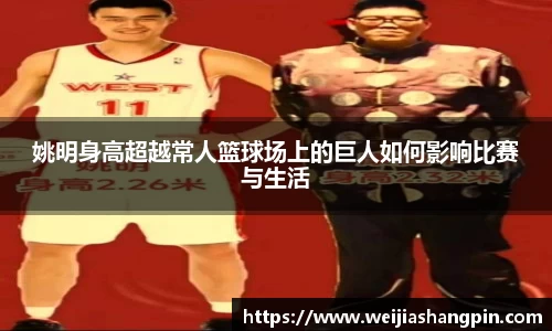 mk体育官网