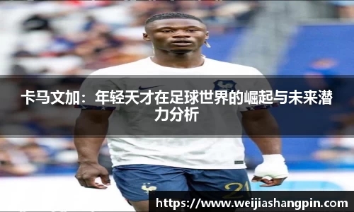 mk体育官网