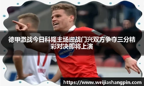 mk体育